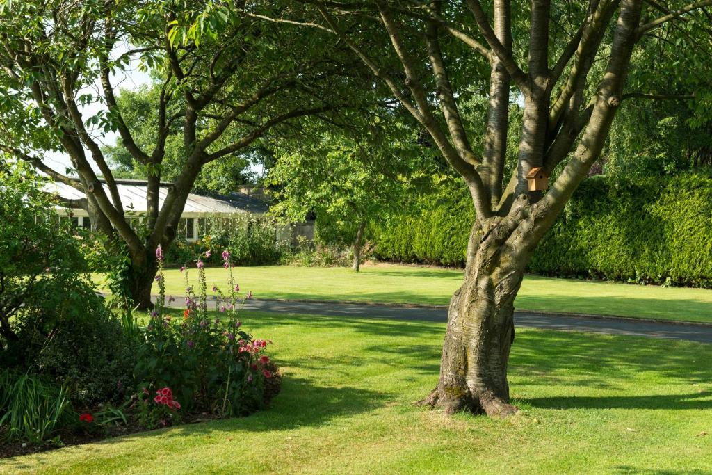 Hazel Manor Pensionat Harrogate Eksteriør billede